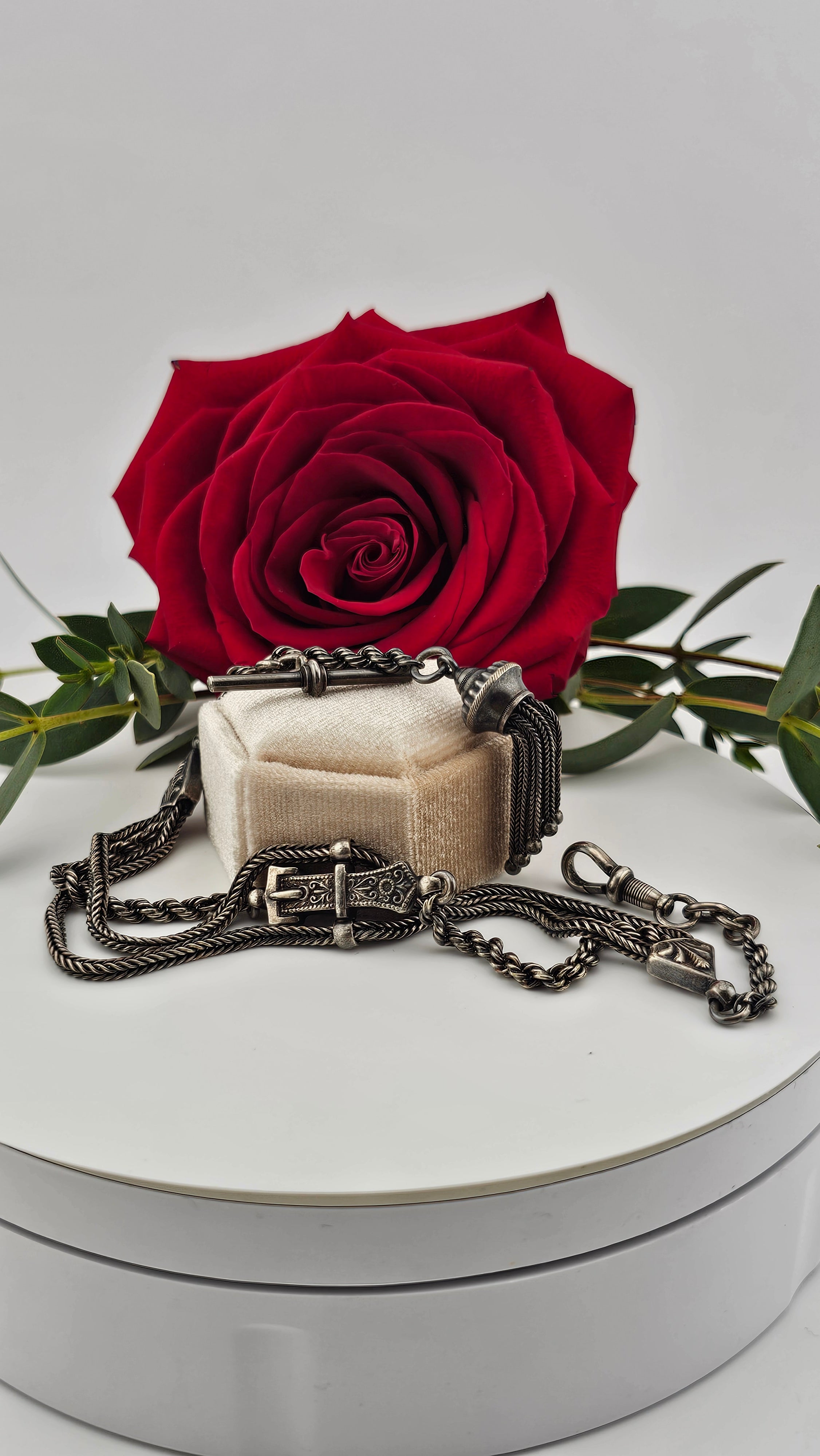 Antique Multi-Strand Silver Albertina Watch Chain with Tassel & Buckle Motif